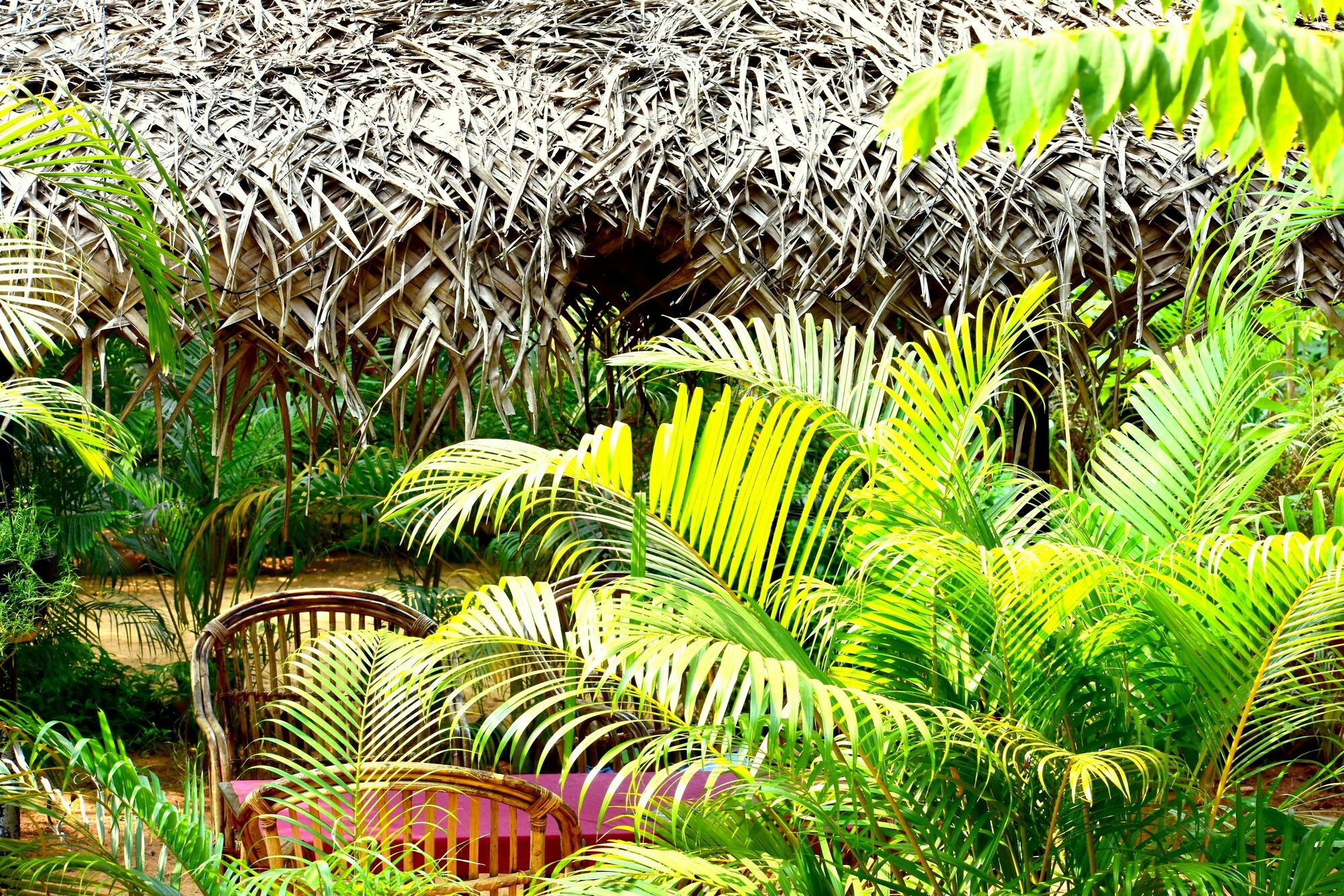 Patnem Beach Patnem Garden Resort المظهر الخارجي الصورة